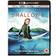The Shallows [2 Disc 4K Ultra HD] [Blu-ray] [2016] [Region Free]